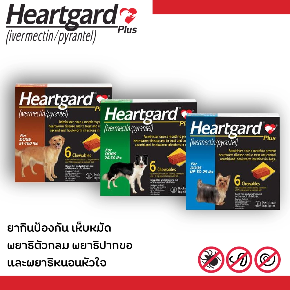 Heartgard Plus ยากินป้องกัน เห็บหมัด / พยาธิตัวกลม พยาธิปากขอ และพยาธิหัวใจ