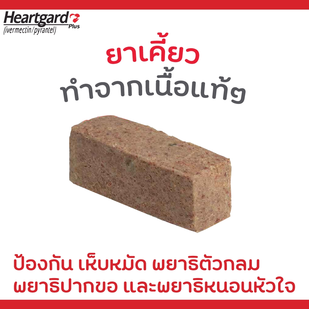 Heartgard Plus ยากินป้องกัน เห็บหมัด / พยาธิตัวกลม พยาธิปากขอ และพยาธิหัวใจ