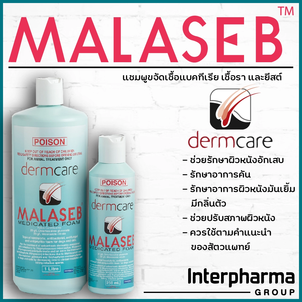 MALASEB SHAMPOO