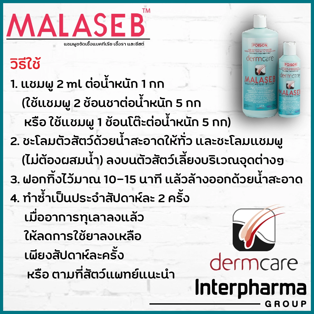 MALASEB แชมพูขจัดเชื้อแบคทีเรีย เชื้อรา และยีสต์