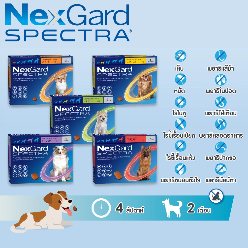 Nexgard Spectra ยากินป้องกัน เห็บ หมัด ไรขี้เรื้อนเปียก ไรขี้เรื้อนแห้ง ไรหู และพยาธิอื่นๆ รวม 12 ชนิด