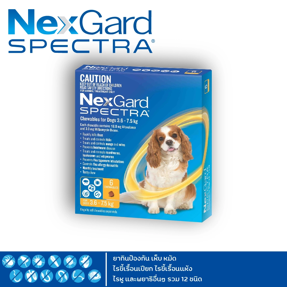 Nexgard Spectra ยากินป้องกัน เห็บ หมัด ไรขี้เรื้อนเปียก ไรขี้เรื้อนแห้ง ไรหู และพยาธิอื่นๆ รวม 12 ชนิด