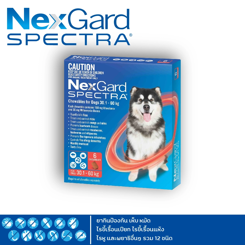 Nexgard Spectra ยากินป้องกัน เห็บ หมัด ไรขี้เรื้อนเปียก ไรขี้เรื้อนแห้ง ไรหู และพยาธิอื่นๆ รวม 12 ชนิด