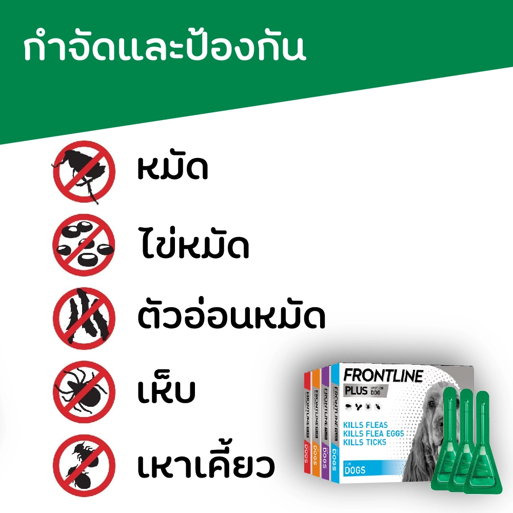 Frontline Plus สุนัข ยาหยดป้องกัน เห็บ หมัด