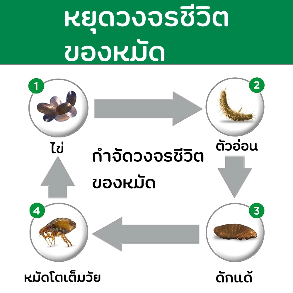 Frontline Plus สุนัข ยาหยดป้องกัน เห็บ หมัด