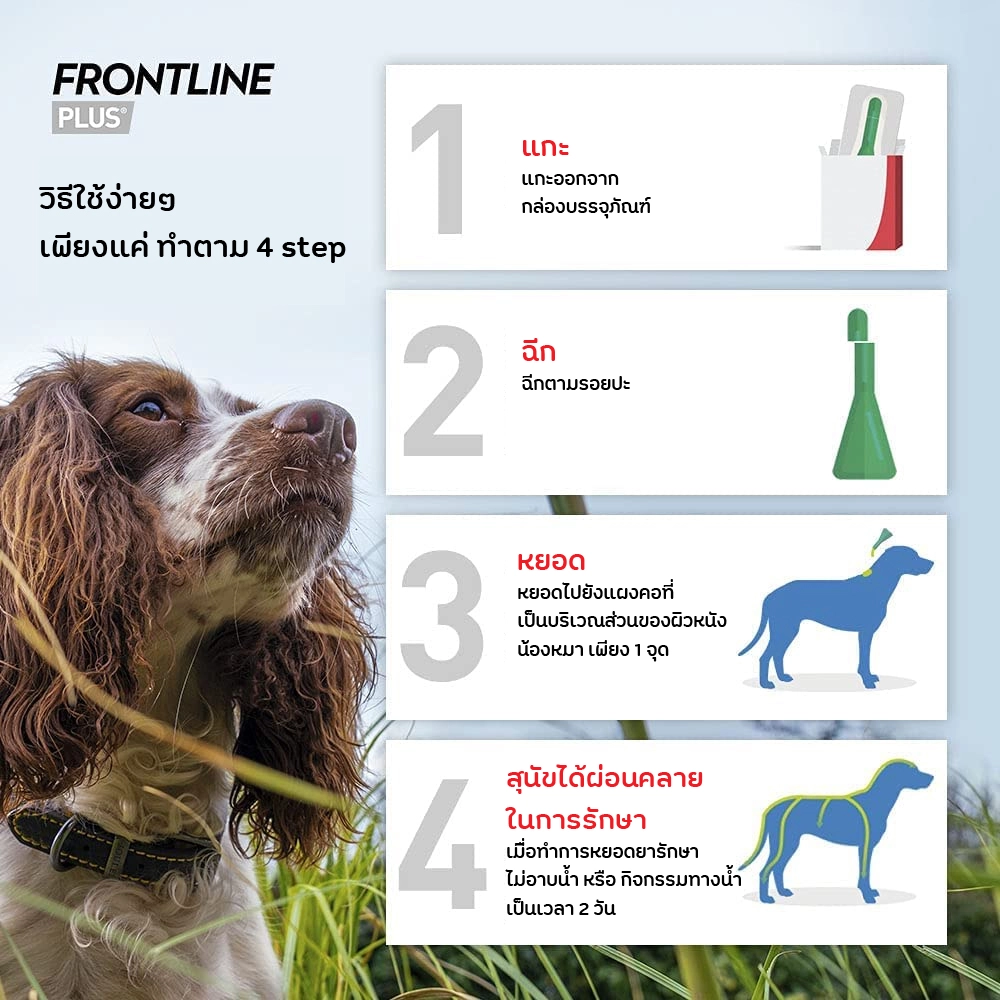 Frontline Plus สุนัข ยาหยดป้องกัน เห็บ หมัด