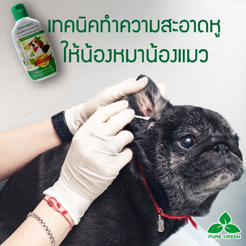 Pure Green โลชั่นเช็ดทำความสะอาดหู สำหรับสุนัข 140 cc.