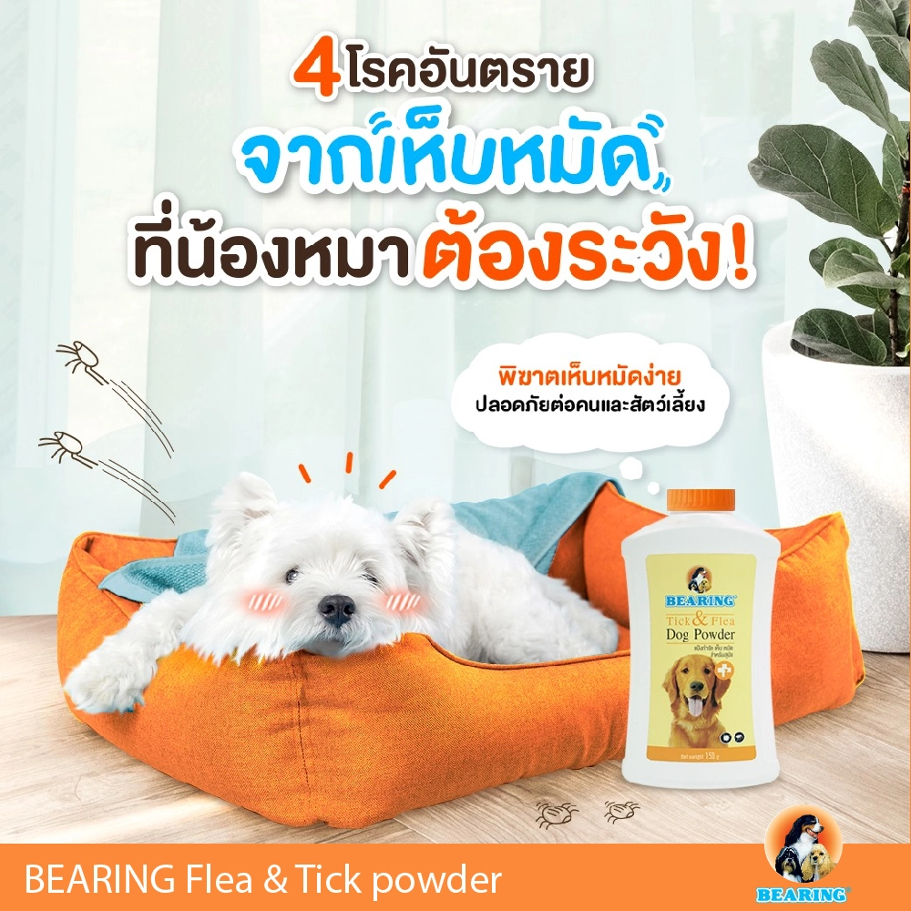 BEARING Flea & Tick powder