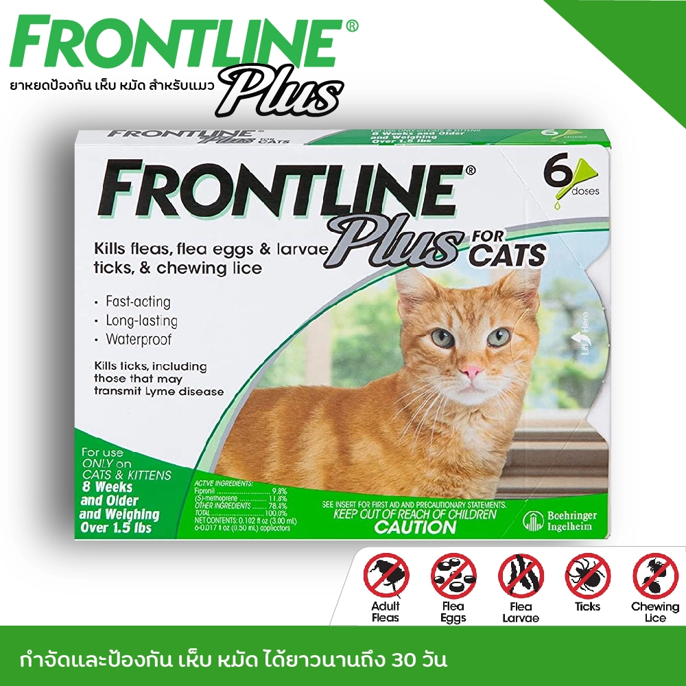 Frontline Plus แมว ยาหยดป้องกัน เห็บ หมัด