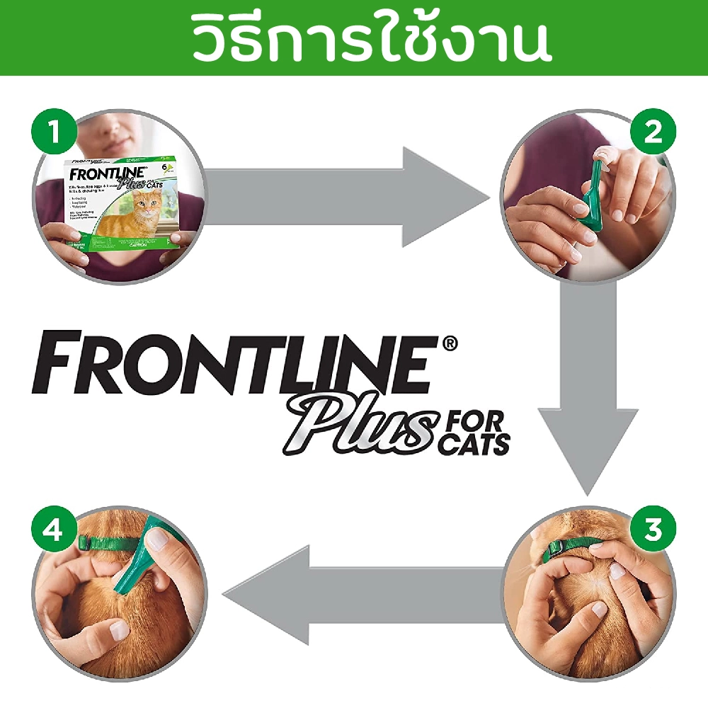 Frontline Plus แมว ยาหยดป้องกัน เห็บ หมัด