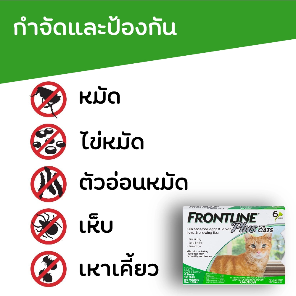 Frontline Plus แมว ยาหยดป้องกัน เห็บ หมัด