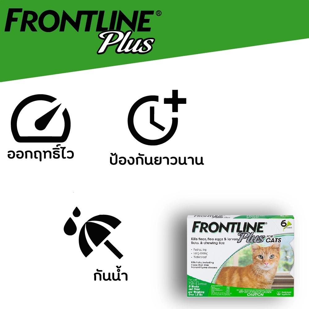 Frontline Plus แมว ยาหยดป้องกัน เห็บ หมัด