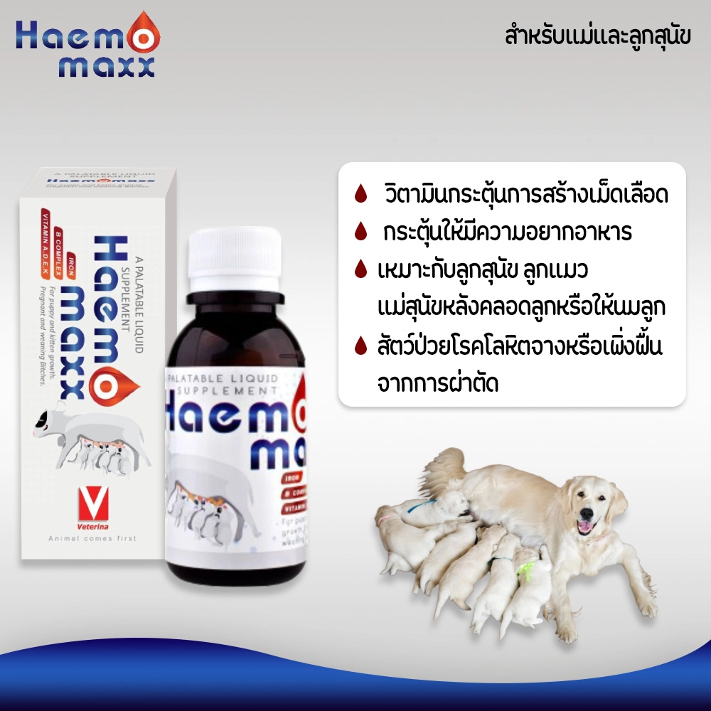 HAEMOMAXX วิตามินบำรุงเลือด สุนัข/แมว 100 ml