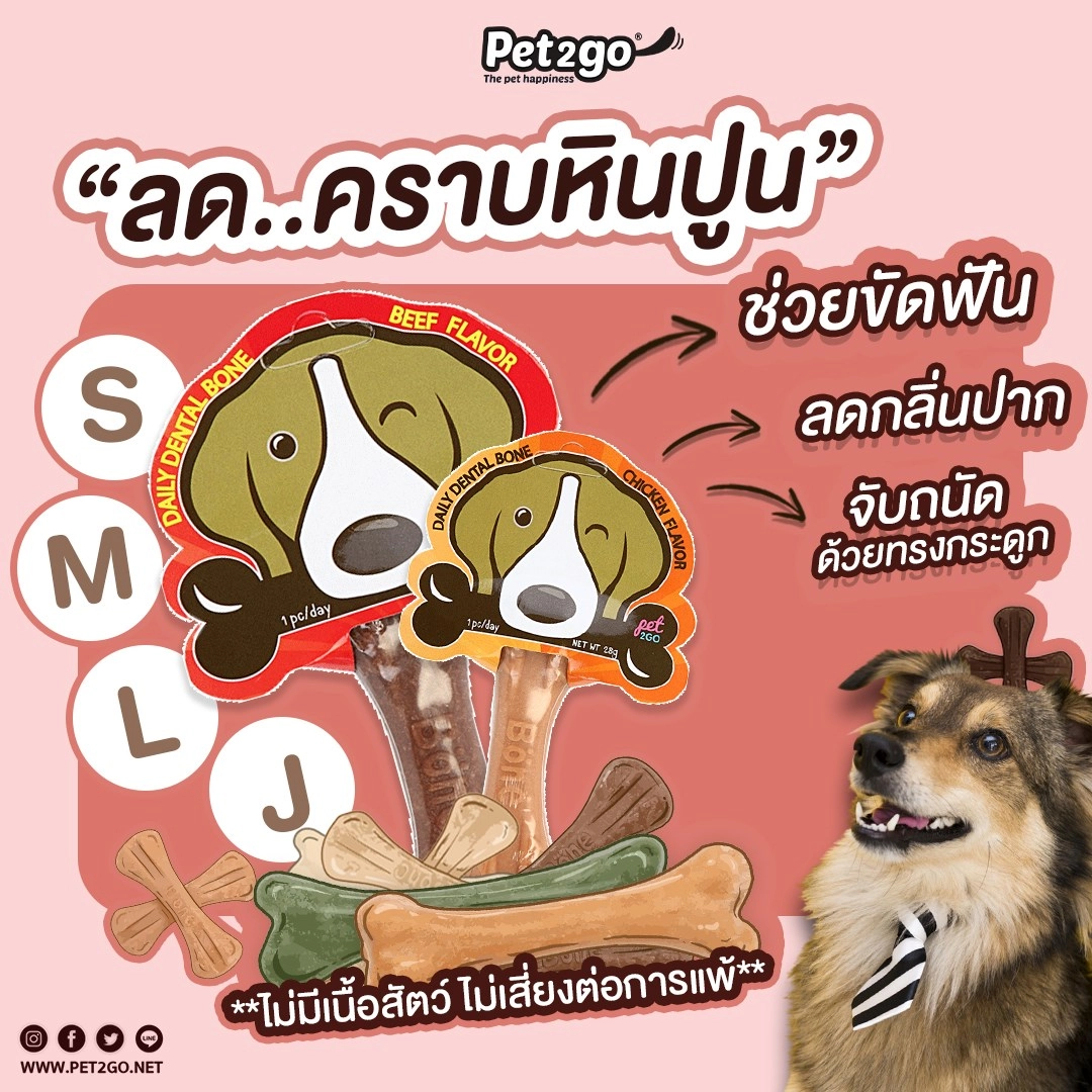 Pet2Go เดนทรัล โบน ขนมขัดฟัน