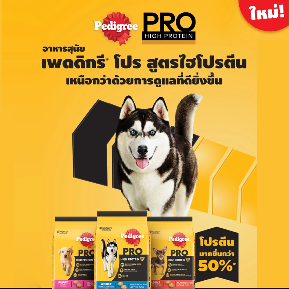 Pedigree PRO HIGH PROTEIN MEDIUM & LARGE BREED อาหารเม็ด สำหรับสุนัขโตพันธุ์กลาง-ใหญ่