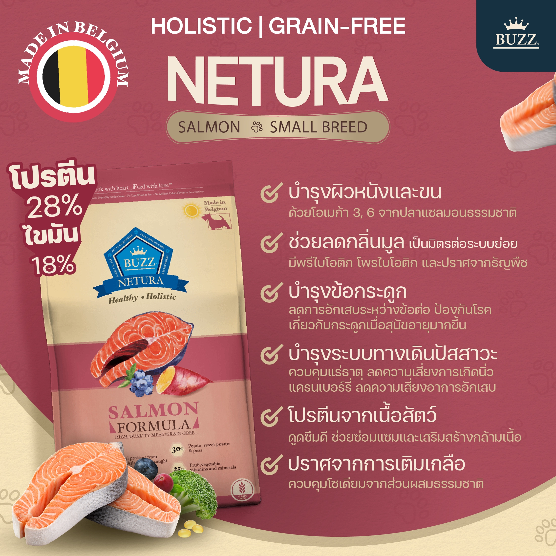 BUZZ NETURE HOLISTIC GRAIN FREE SALMON ADULT อาหารเม็ด สำหรับสุนัขโตพันธุ์กลาง-ใหญ่ สูตรเนื้อปลาแซลมอน