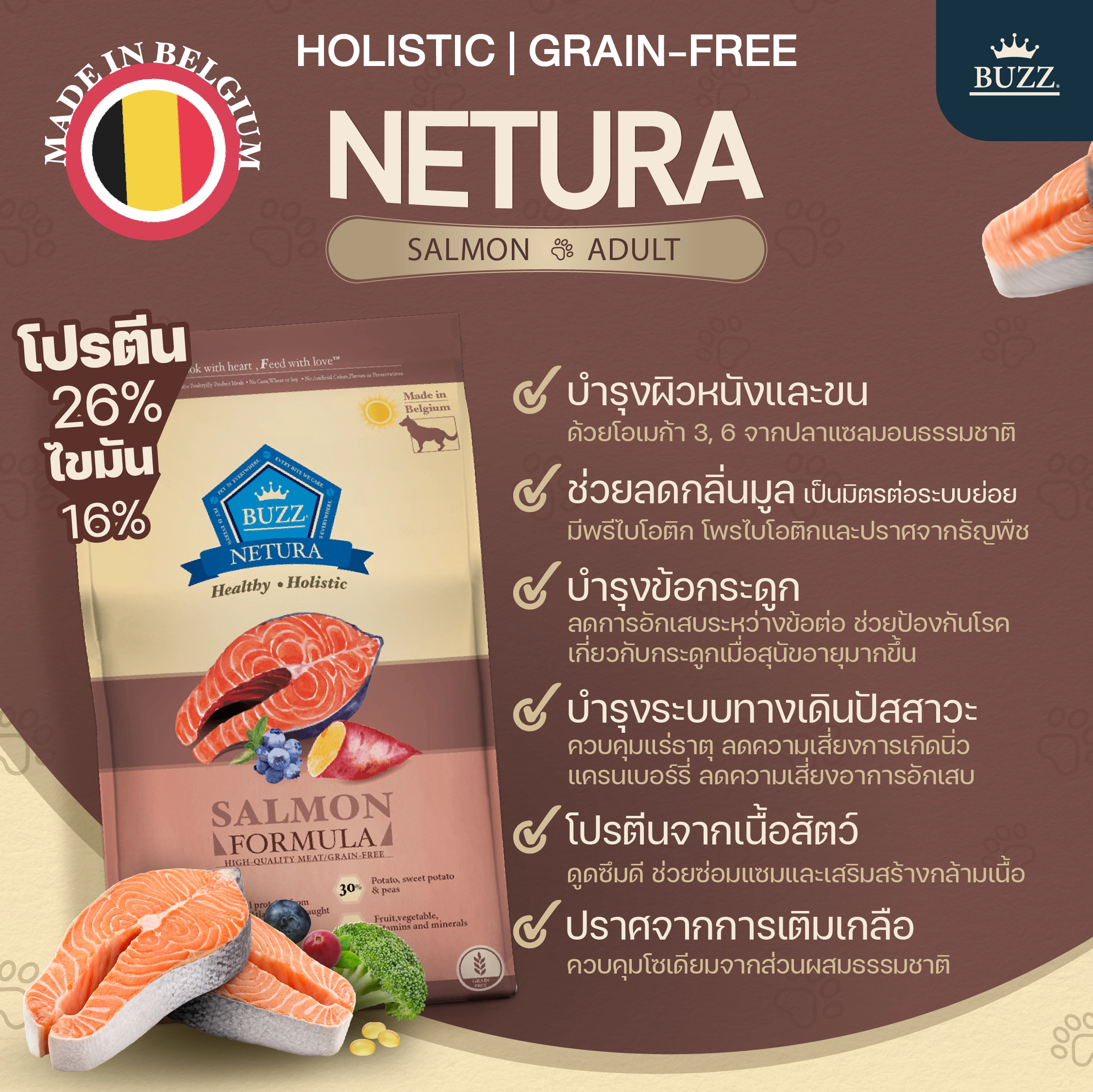 BUZZ NETURE HOLISTIC GRAIN FREE SALMON ADULT อาหารเม็ด สำหรับสุนัขโตพันธุ์กลาง-ใหญ่ สูตรเนื้อปลาแซลมอน