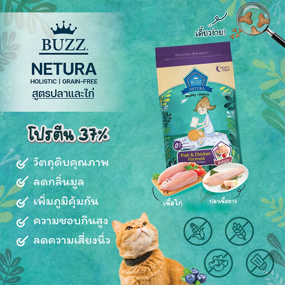 BUZZ_NETURA Holistic (Fish & Chicken) cat food 1+ years Fish and Chicken Recipes