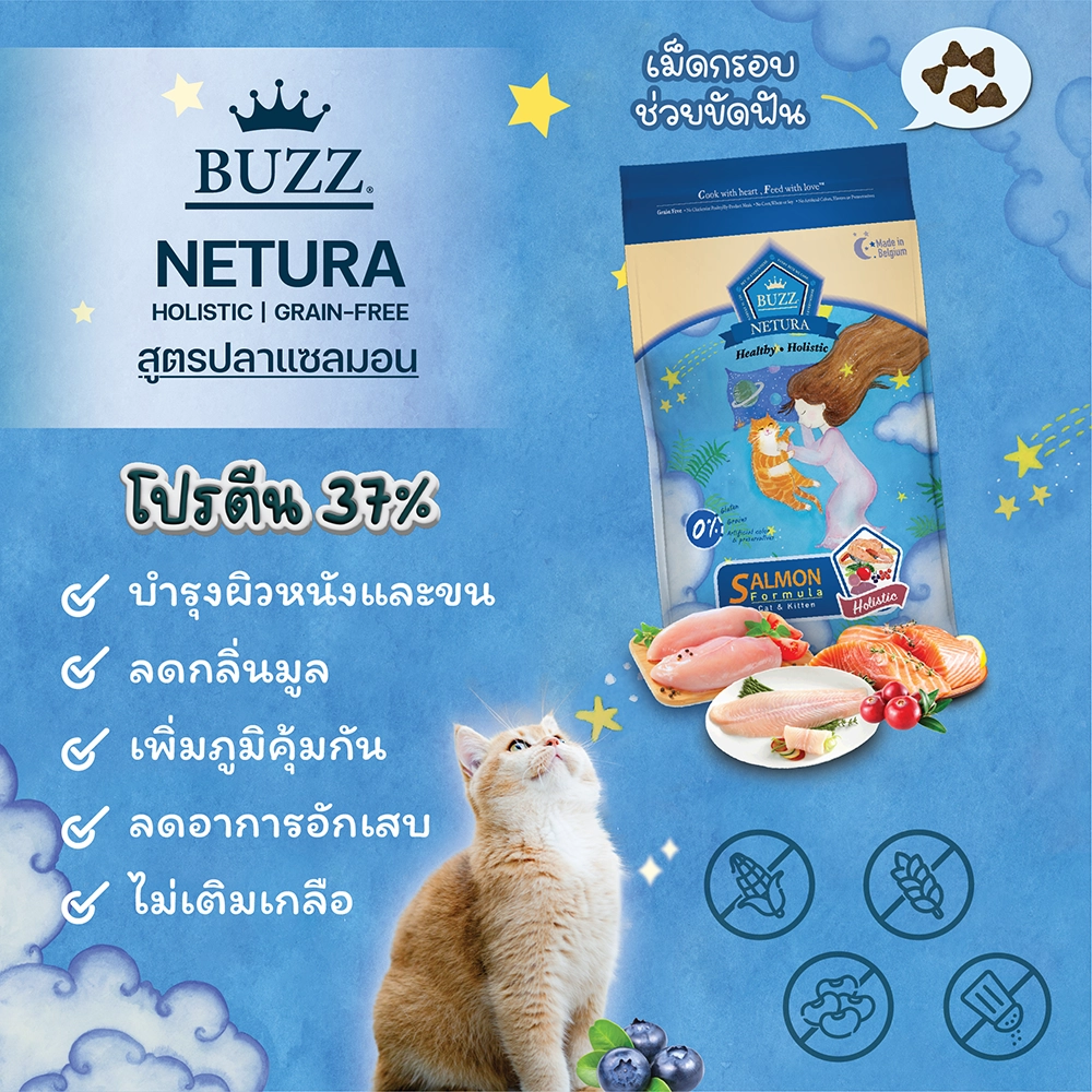 BUZZ_NETURA Holistic (SALMON) cat food 1+ years Salmon fillet recipe