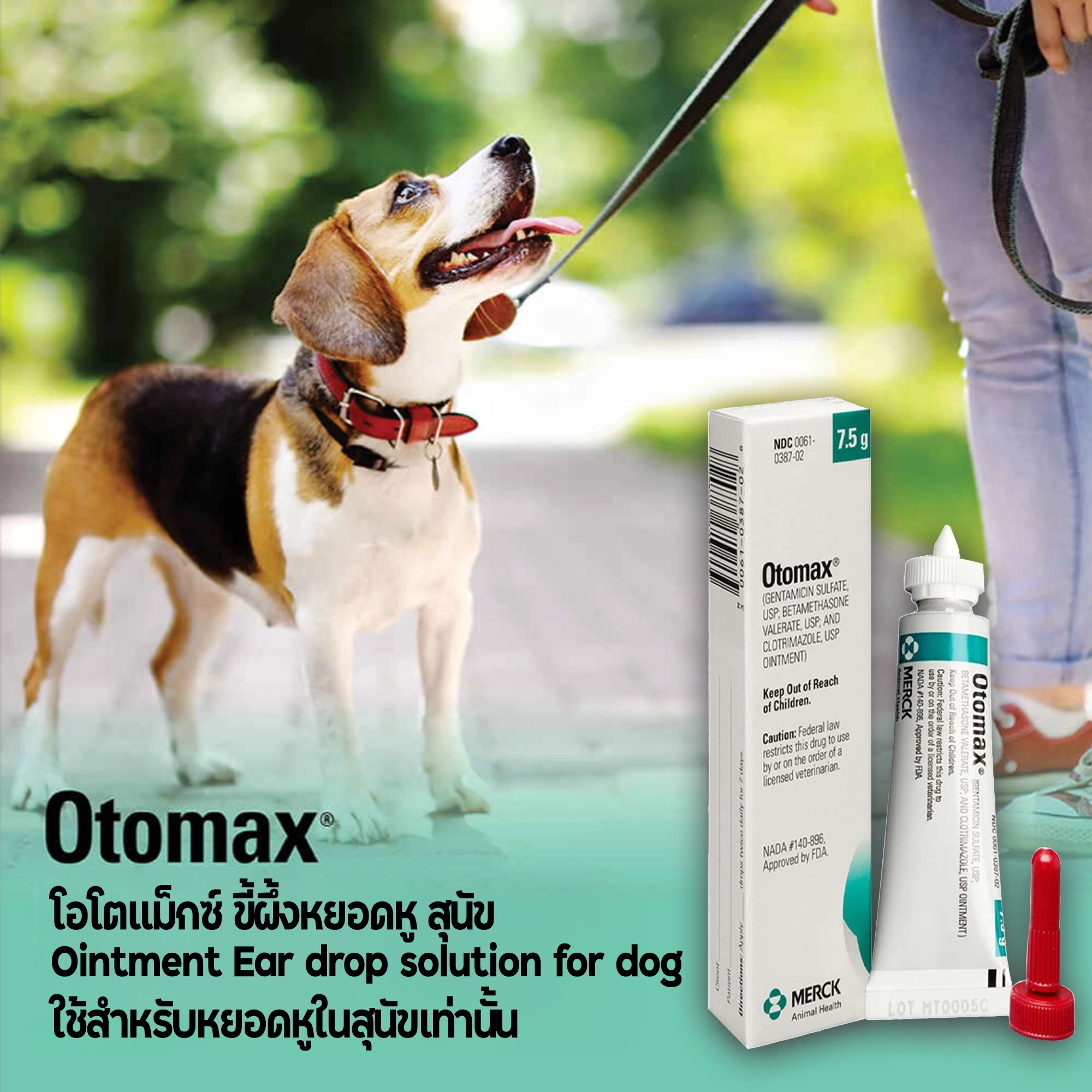 Otomax ยารักษาหูอักเสบ สุนัขและแมว