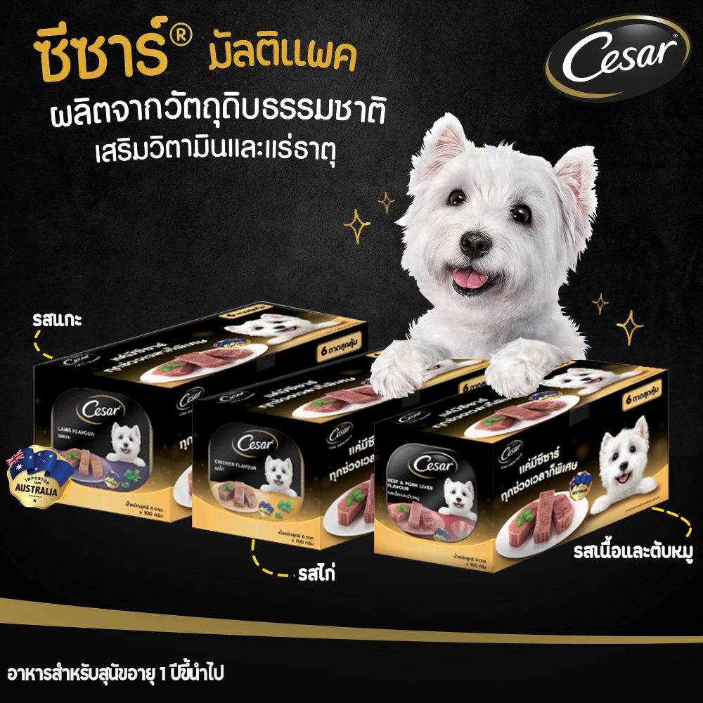 Casar ซีซาร์ อาหารเปียกสุนัข ชนิดถาด100กรัม(X6ถาด) สำหรับสุนัขโตทุกสายพันธุ์ สูตรเนื้อแกะ