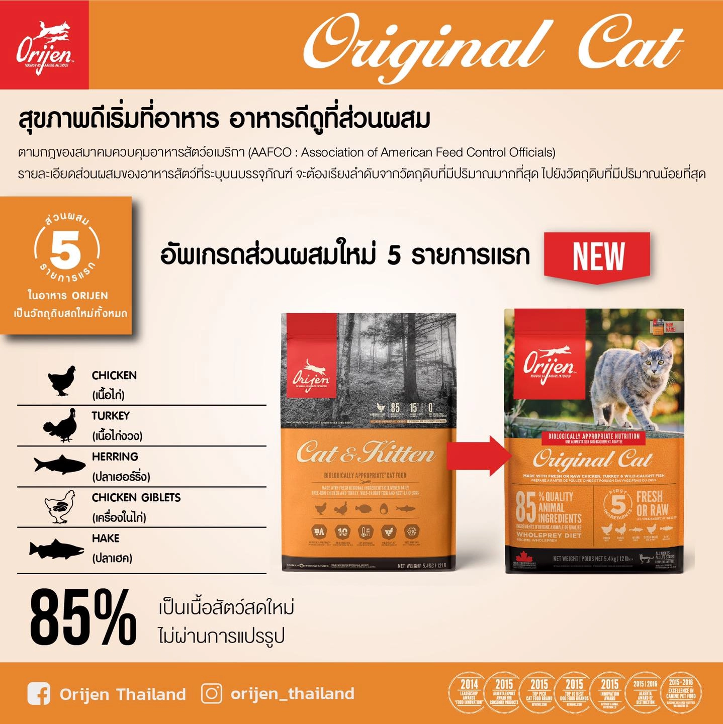 Orijen Original (Cat & Kitten) cat food for all ages