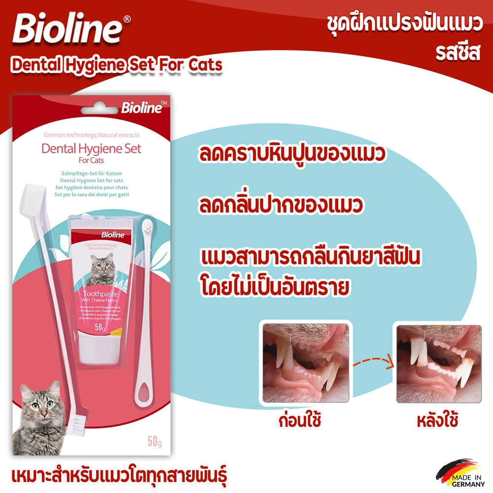 Bioline cat toothbrush training set