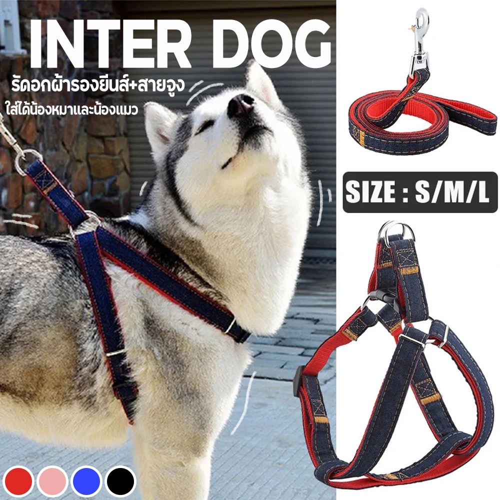 Inter Dog รัดอก