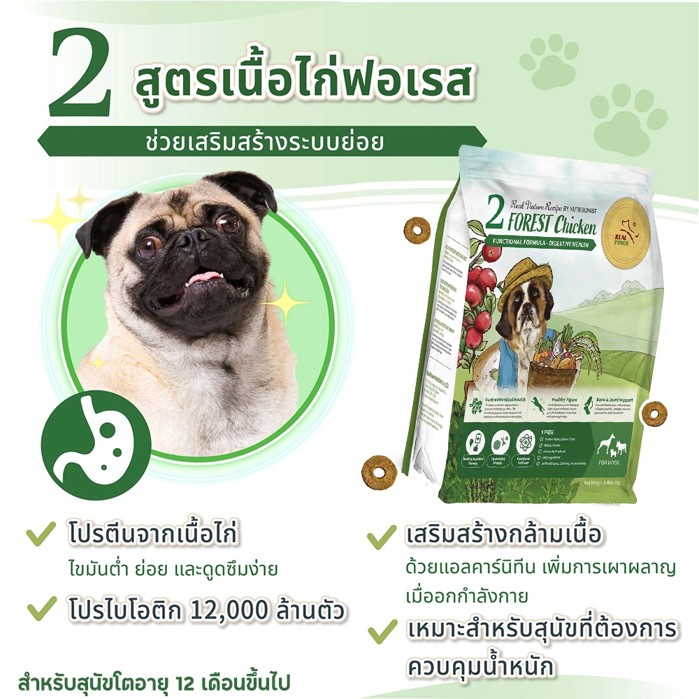 REAL POWER 2.FOREST(Chicken) Adult dog 1 year old, chicken meat formula, taking care of the digestive system,