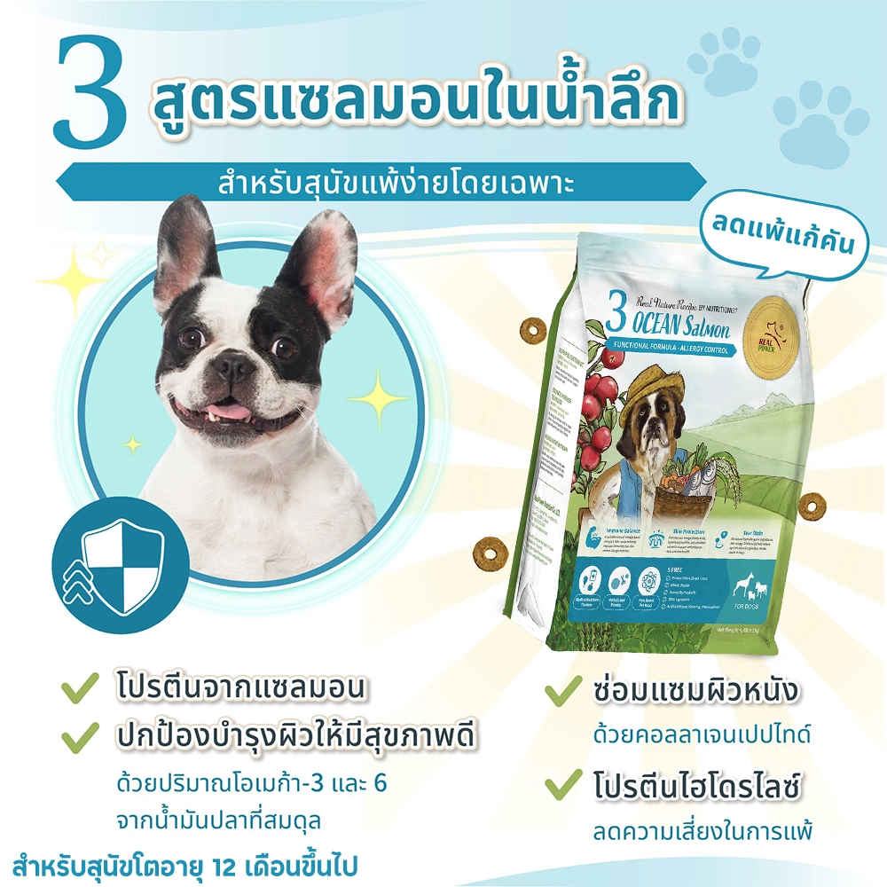 REAL POWER 3.OCEAN(Salmon) A. Adult dog 1 year+, salmon formula, skin care