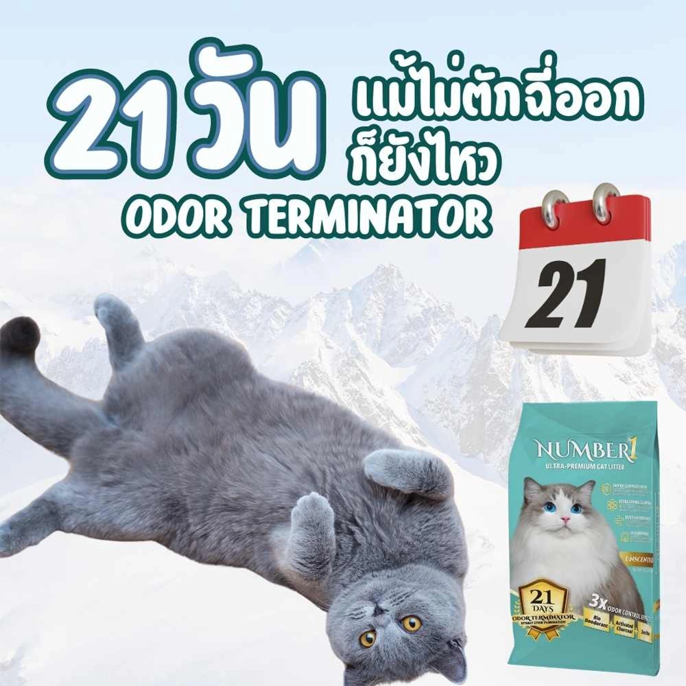 NUMBER1 ทรายแมวภูเขาไฟ ลาเวนเดอร์