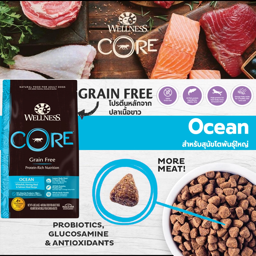 WELLNESS CORE Ocean อาหารเม็ด สำหรับสุนัขโตทุกสายพันธุ์