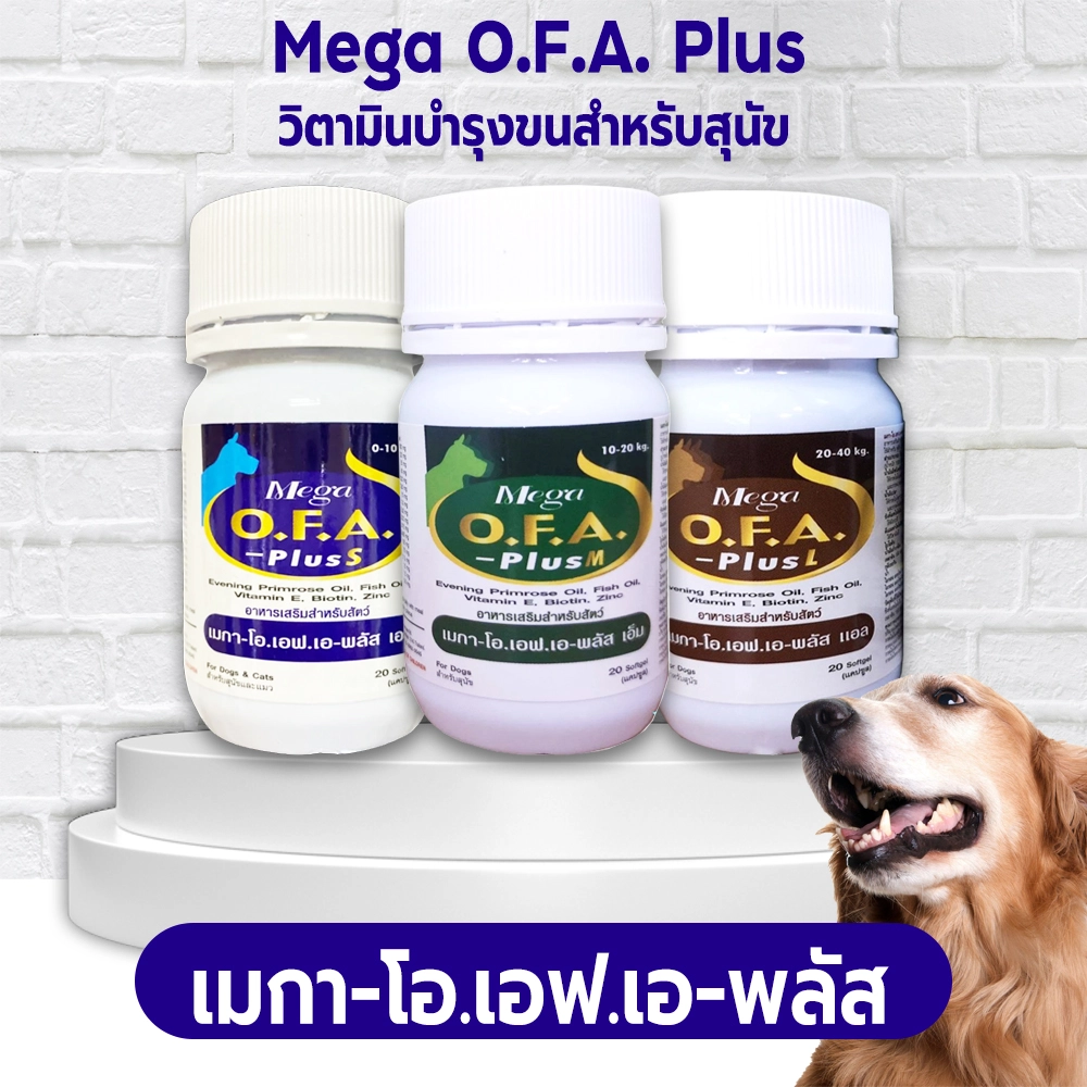 Mega OFA Plus วิตามินสำหรับสุนัข 0 10กก.