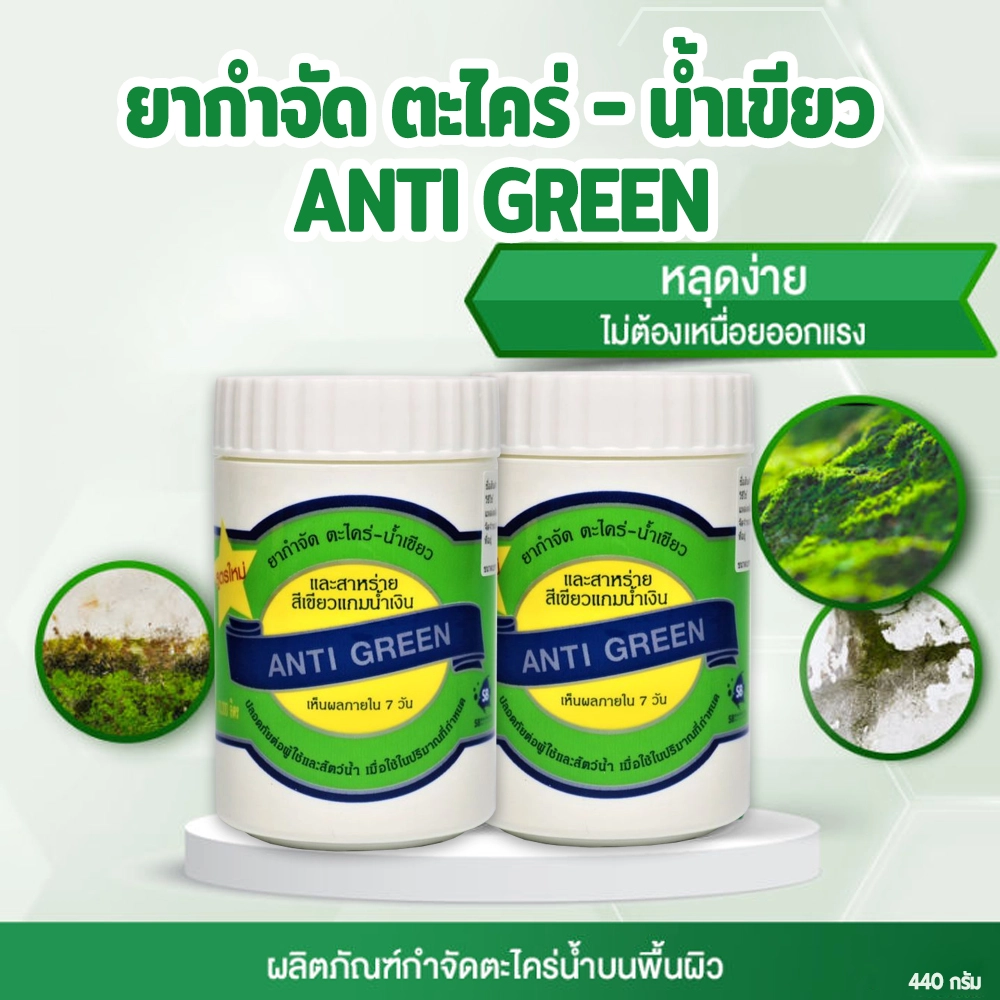 Anti Green   น้ำยากำจัดไคร่