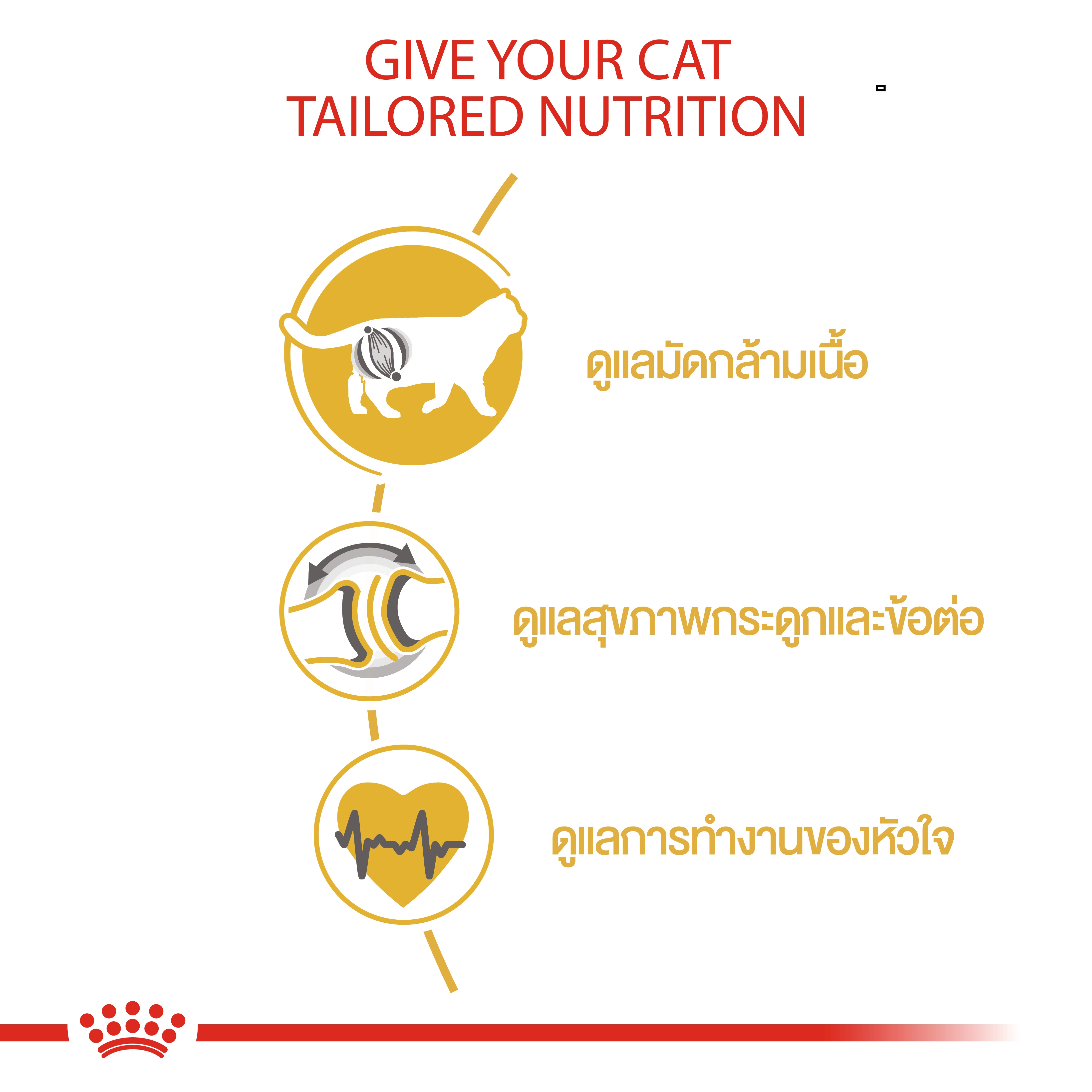 ROYAL CANIN British Shorthair Adult อาหารเม็ดสำหรับแมวโต สายพันธุ์บริสติส ช็อตแฮร