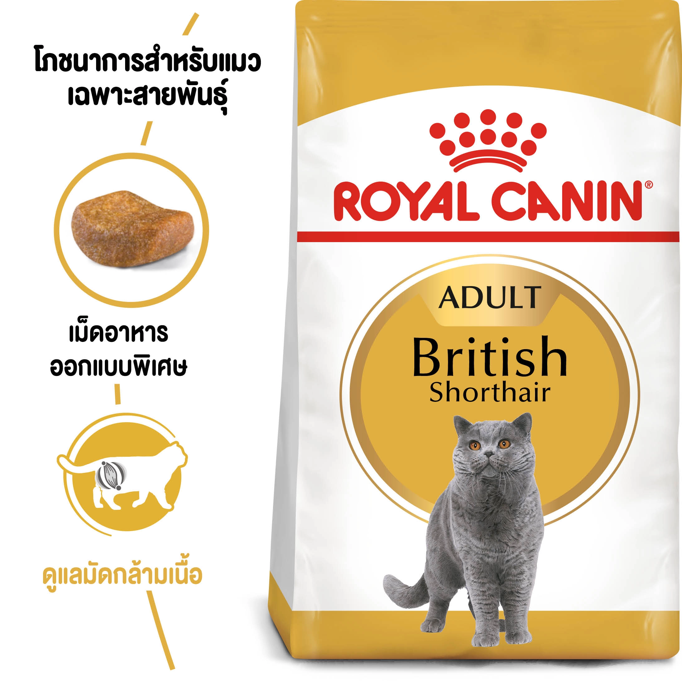 ROYAL CANIN British Shorthair Adult อาหารเม็ดสำหรับแมวโต สายพันธุ์บริสติส ช็อตแฮร