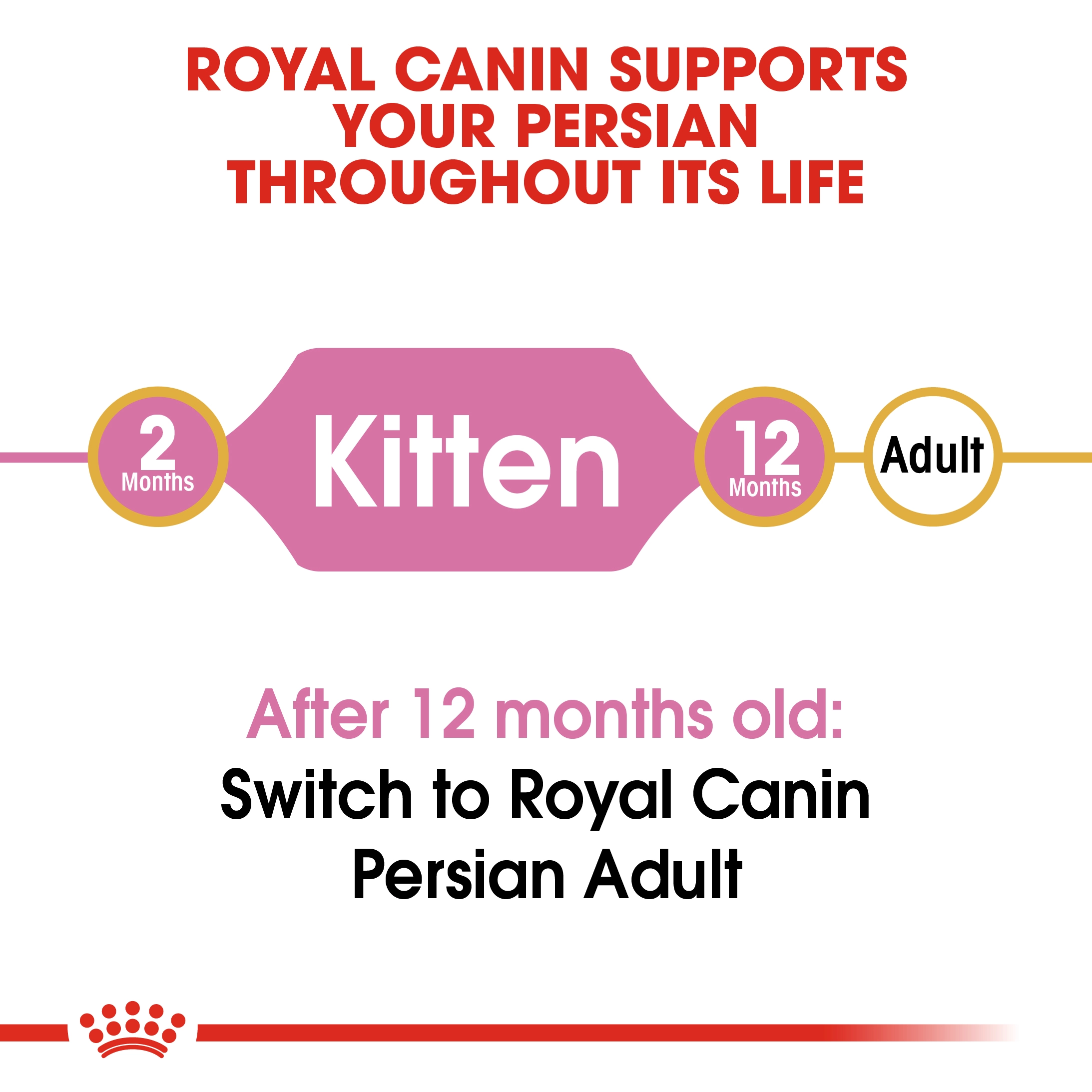 ROYAL CANIN Kitten Persian อาหารเม็ดสำหรับลูกแมว4-12เดือนสายพันธุ์เปอร์เซีย