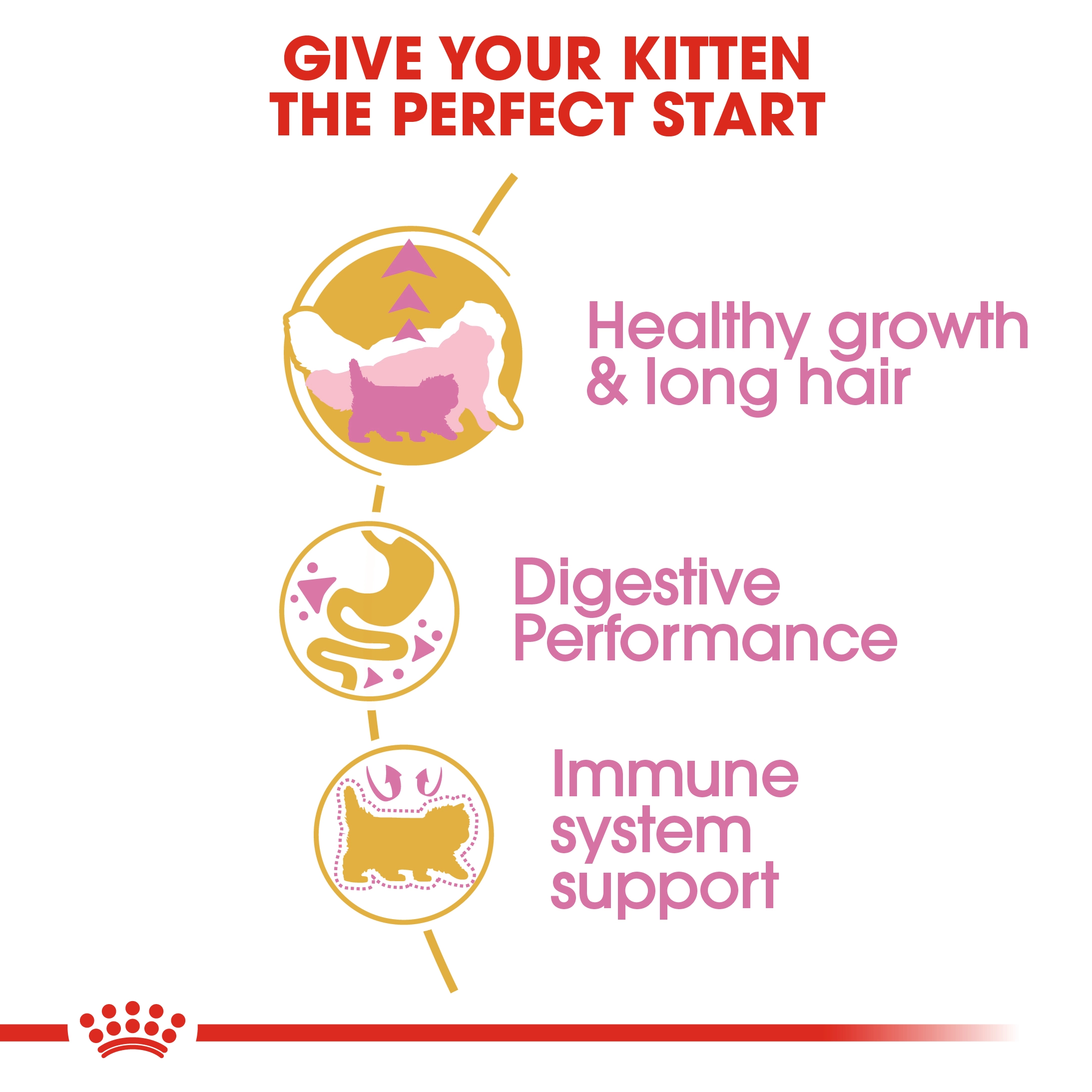 ROYAL CANIN Kitten Persian อาหารเม็ดสำหรับลูกแมว4-12เดือนสายพันธุ์เปอร์เซีย