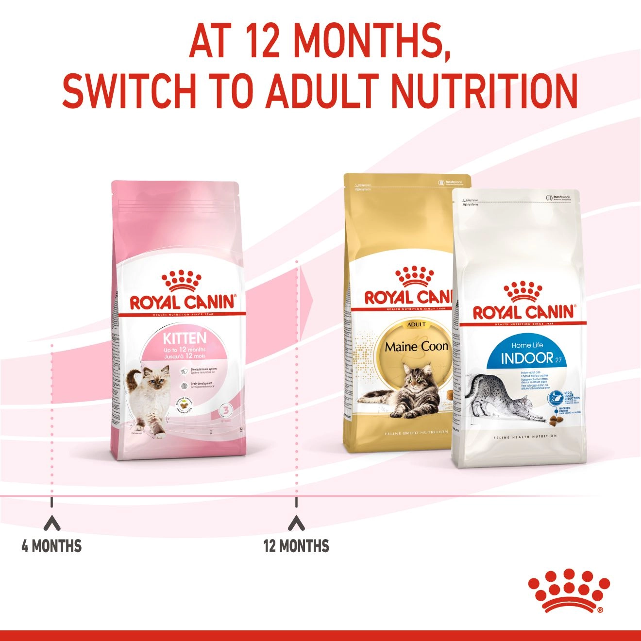 ROYAL CANIN KITTEN อาหารเม็ดสำหรับลูกแมว4-12เดือนทุกสายพันธุ์