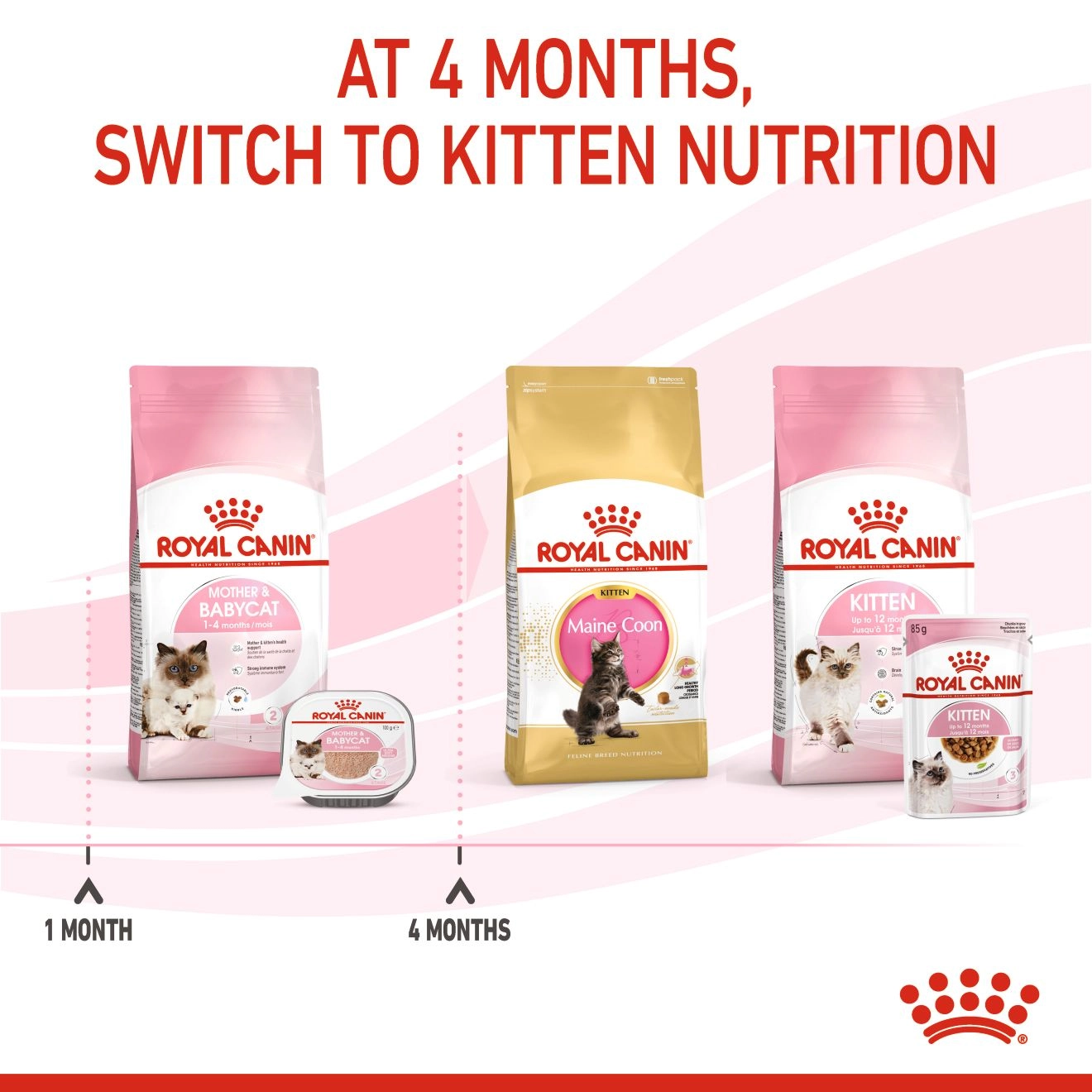 ROYAL CANIN Mother & Baby Cat ชนิดกระป๋อง 195g.