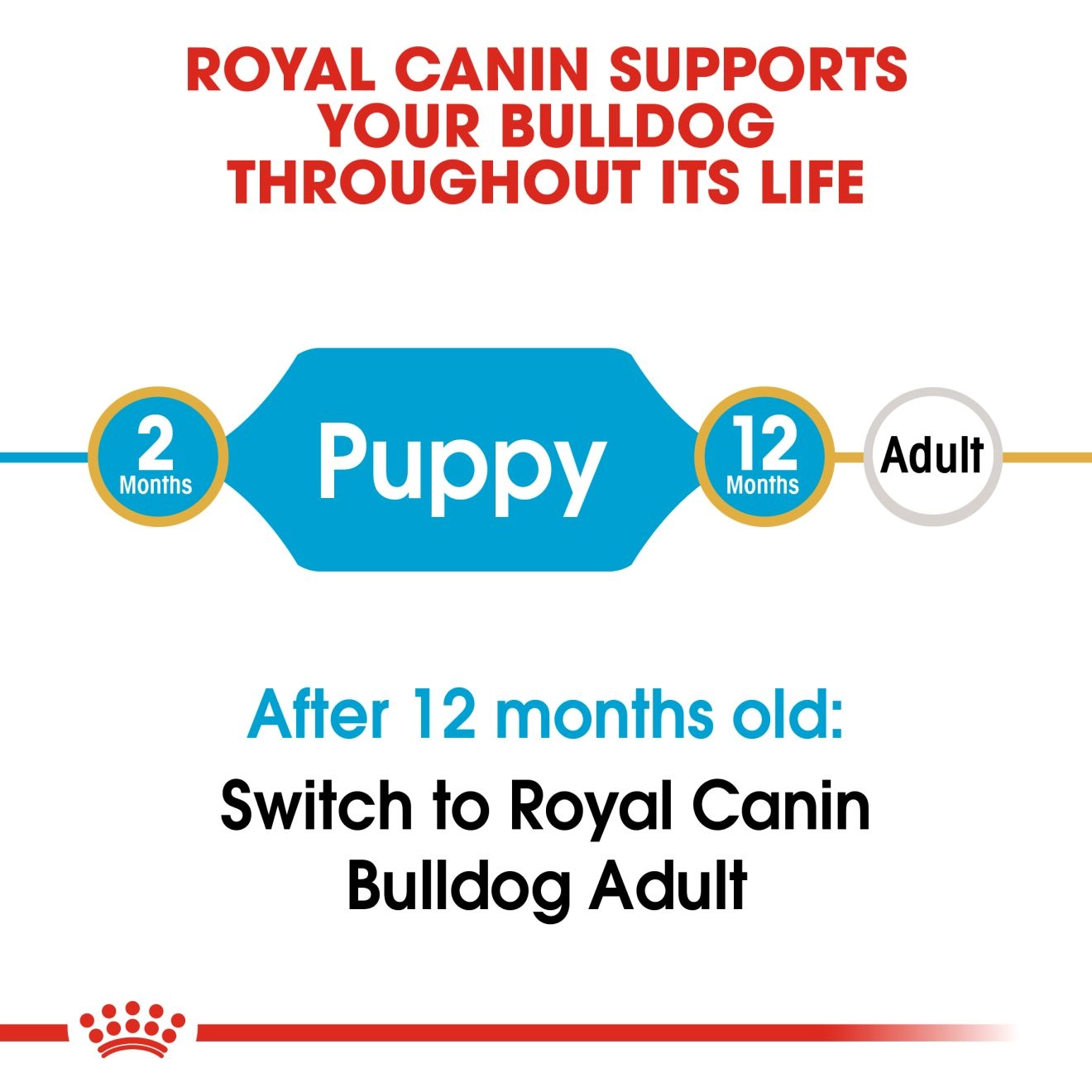 ROYAL CANIN Bulldog Puppy อาหารเม็ดสำหรับลูกสุนัขพันธุ์บูลด็อก