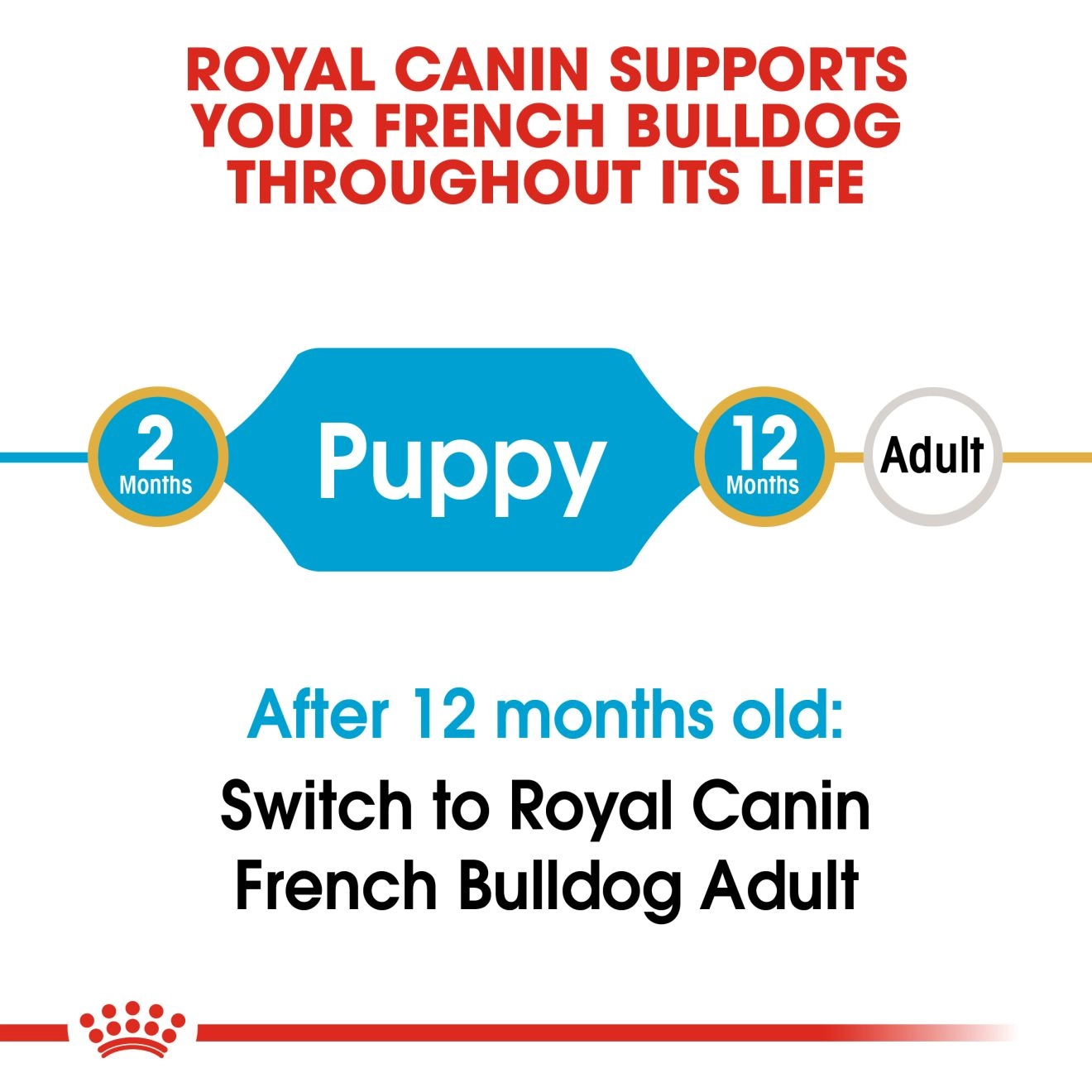 ROYAL CANIN French Bulldog  Puppy  อาหารเม็ดสำหรับลูกสุนัขเฟรนชบูลด็อก