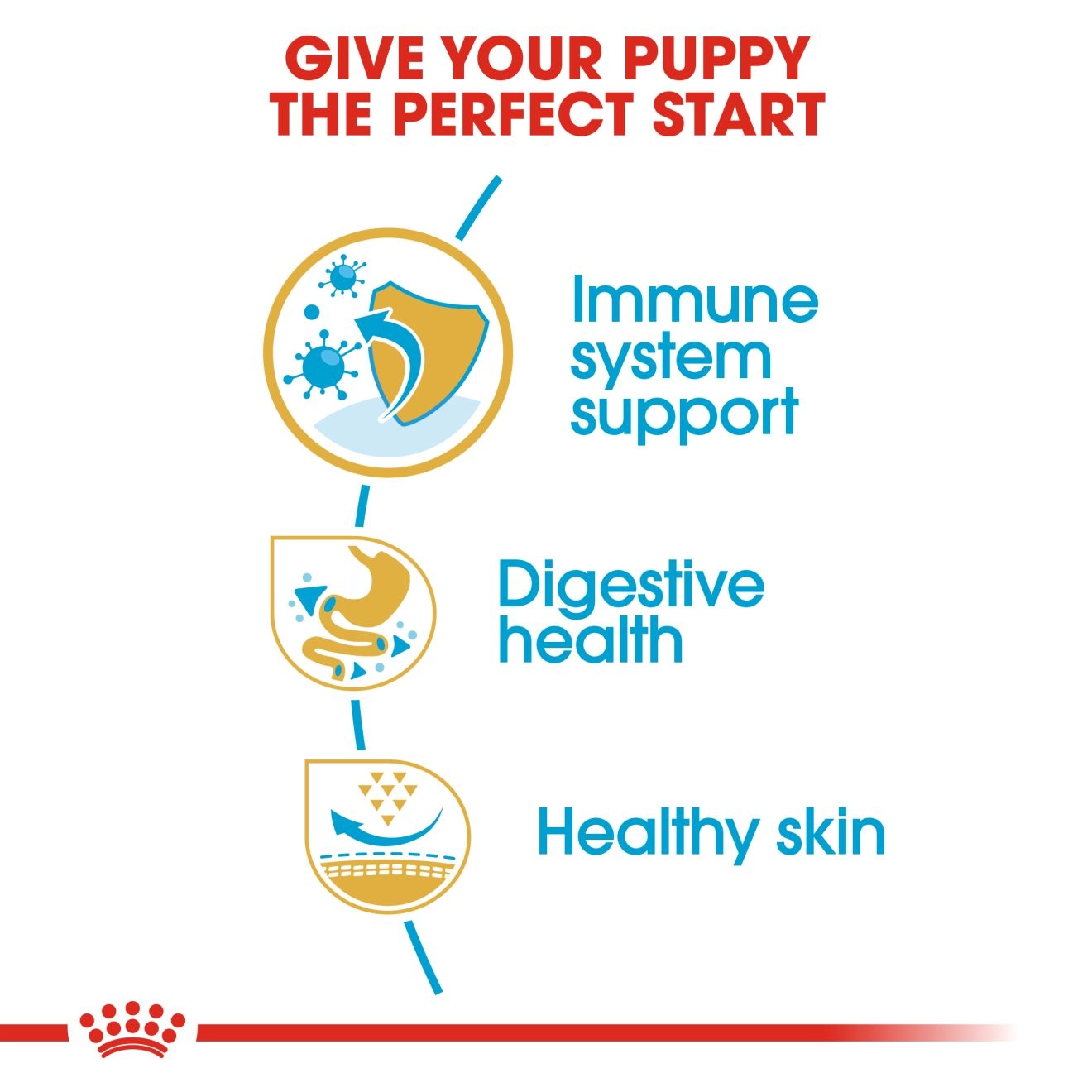 ROYAL CANIN French Bulldog  Puppy  อาหารเม็ดสำหรับลูกสุนัขเฟรนชบูลด็อก