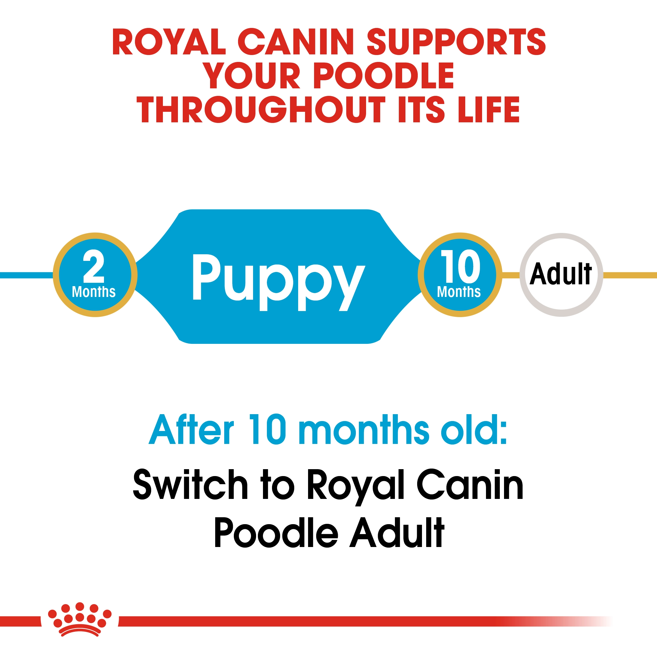 ROYAL CANIN Poodle Puppy อาหารเม็ดสำหรับลูกสุนัขพันธุ์พุดเดิ้ล