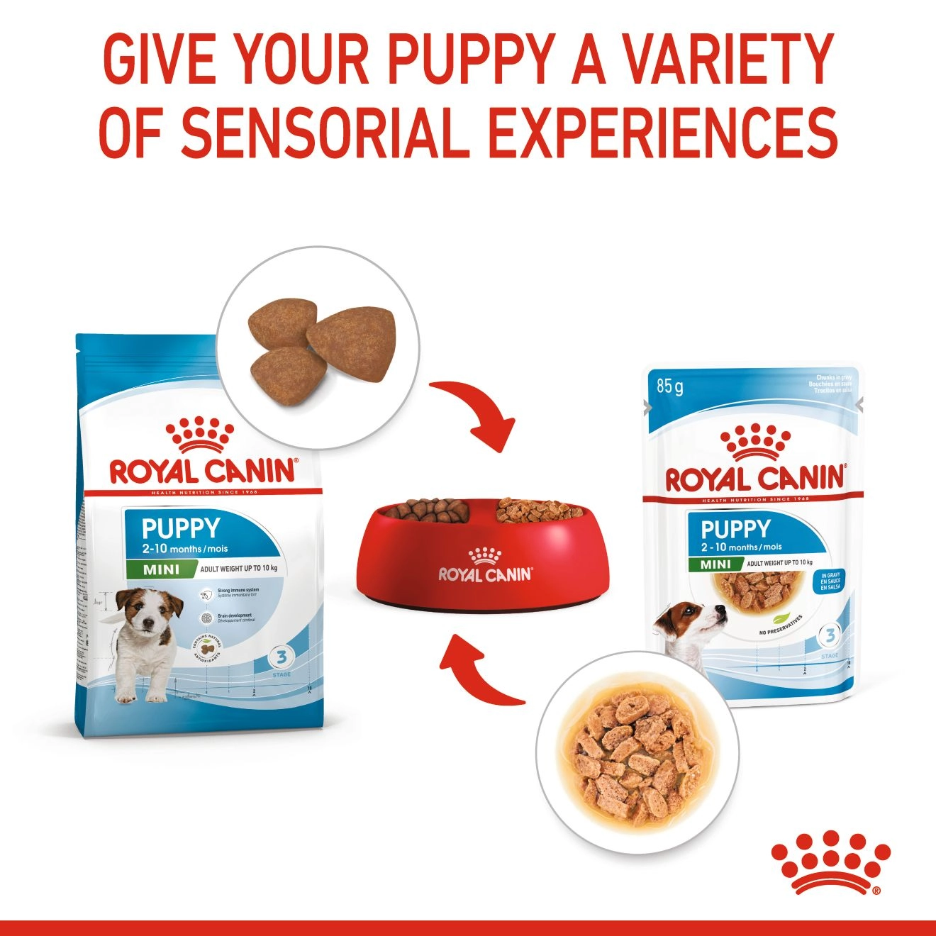 ROYAL CANIN MINI PUPPY (ชนิดซอง) 85 กรัม