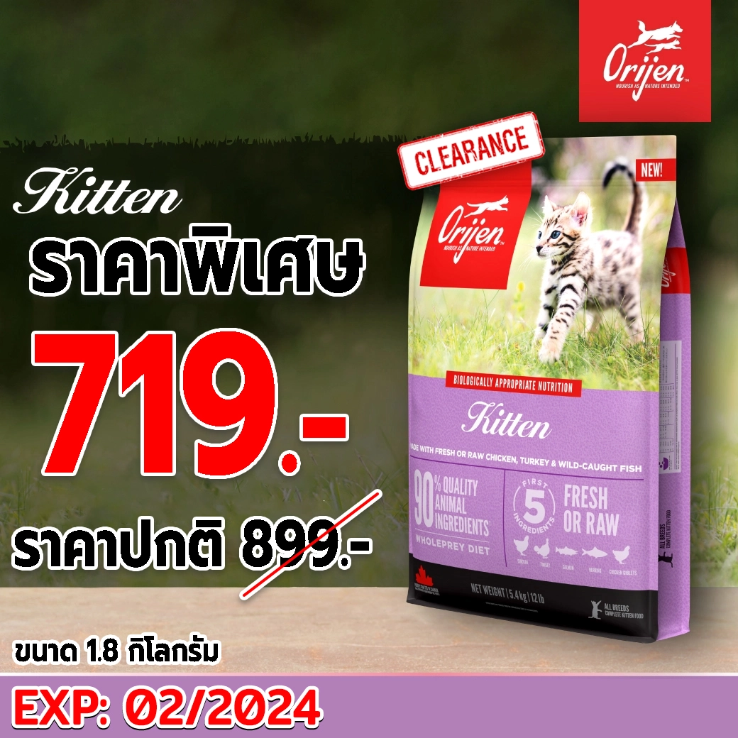 Orijen Kitten Formula Kitten food from 2 12 months. Chicken, Turkey, Fish formula. 1.8 kg.