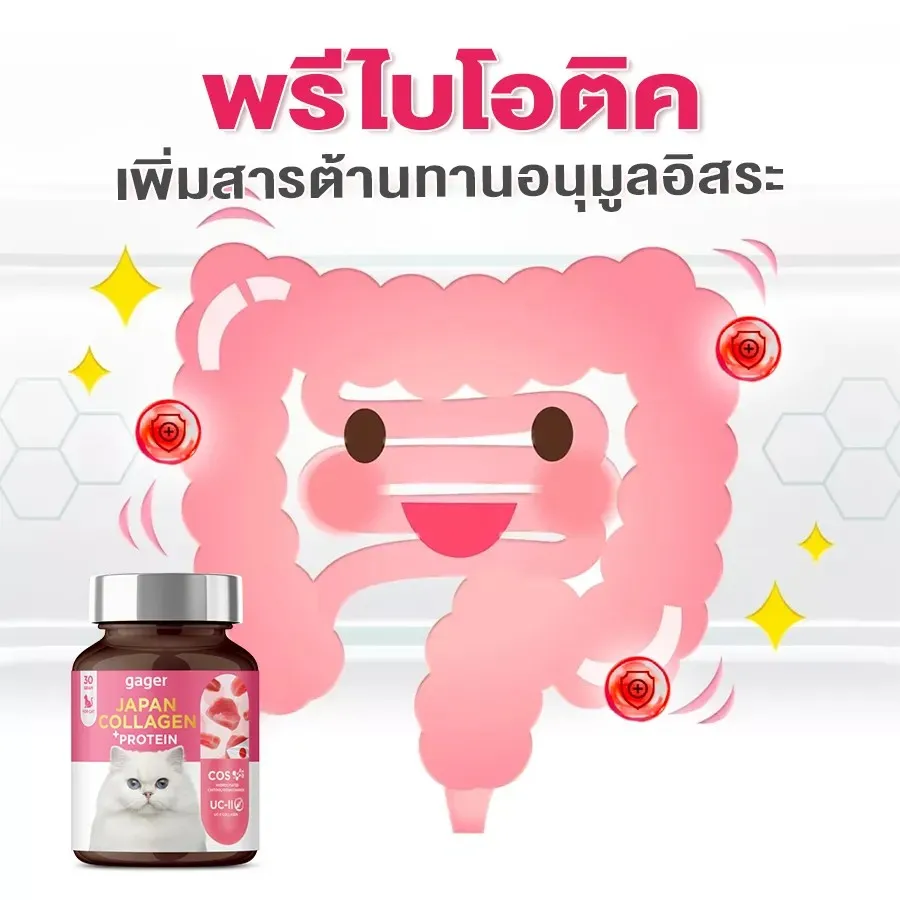 กาเจอร์ ผงคอลลาเจน+โปรตีน มีพรีไบโอติค คอลลาเจนช่วยบำรุงกระดูกและข้อ เพิ่มสารต้านทานอนุมูลอิสระ