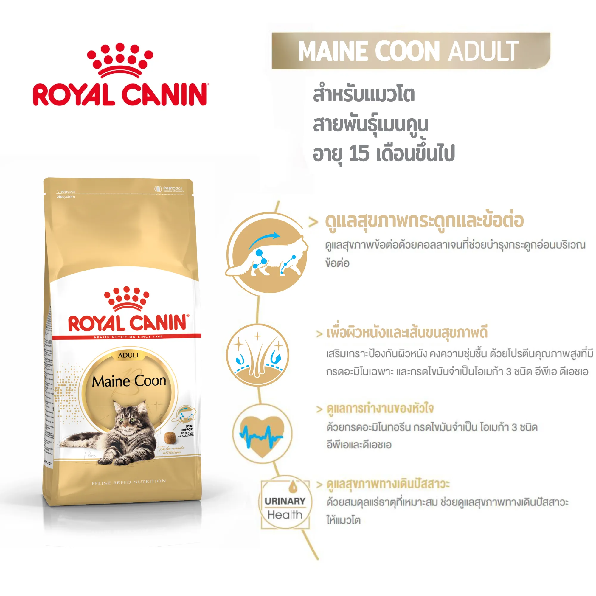 ROYAL CANIN Maine Coon Adult อาหารเม็ดสำหรับแมวโต สายพันธุ์เมนคูน