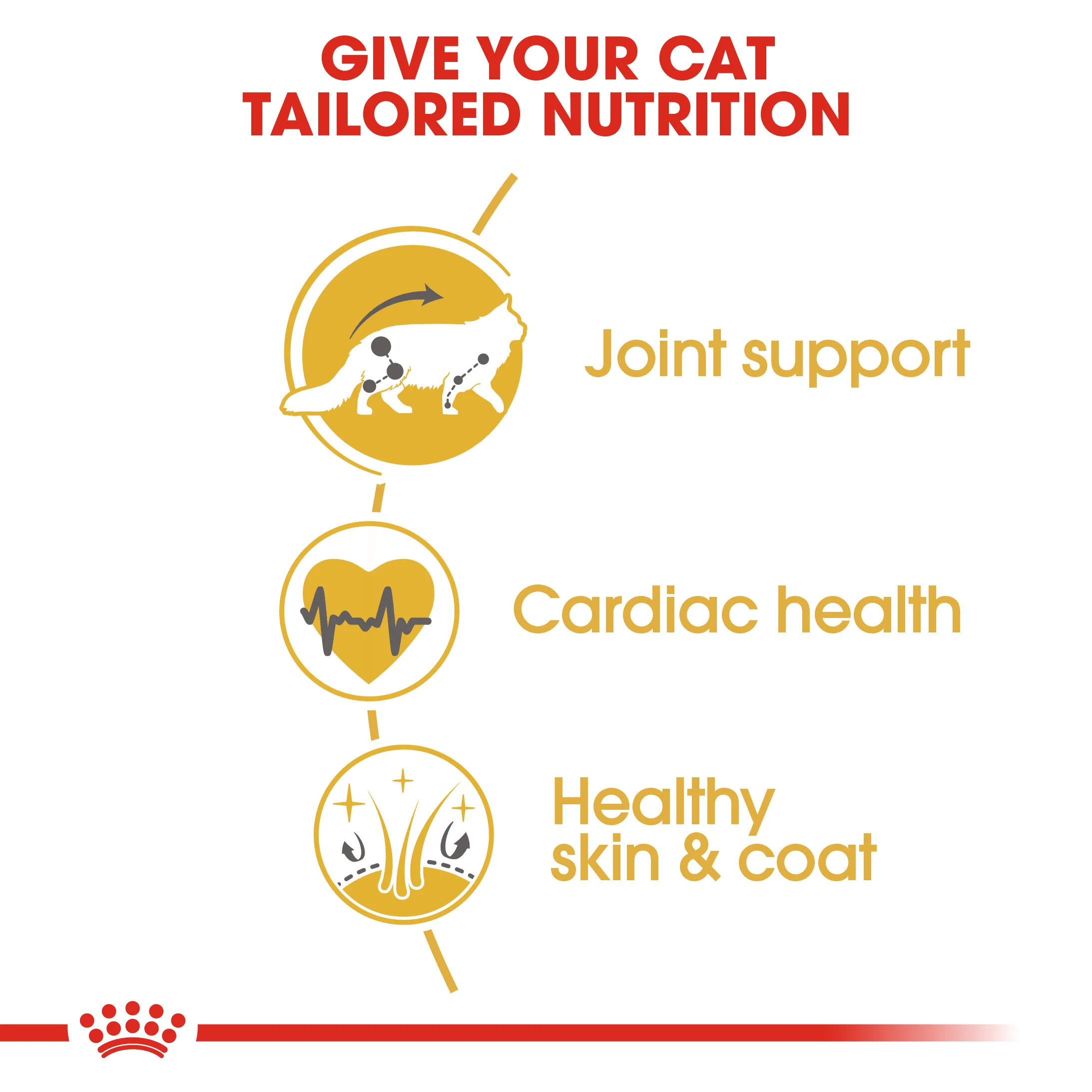 ROYAL CANIN Maine Coon Adult อาหารเม็ดสำหรับแมวโต สายพันธุ์เมนคูน