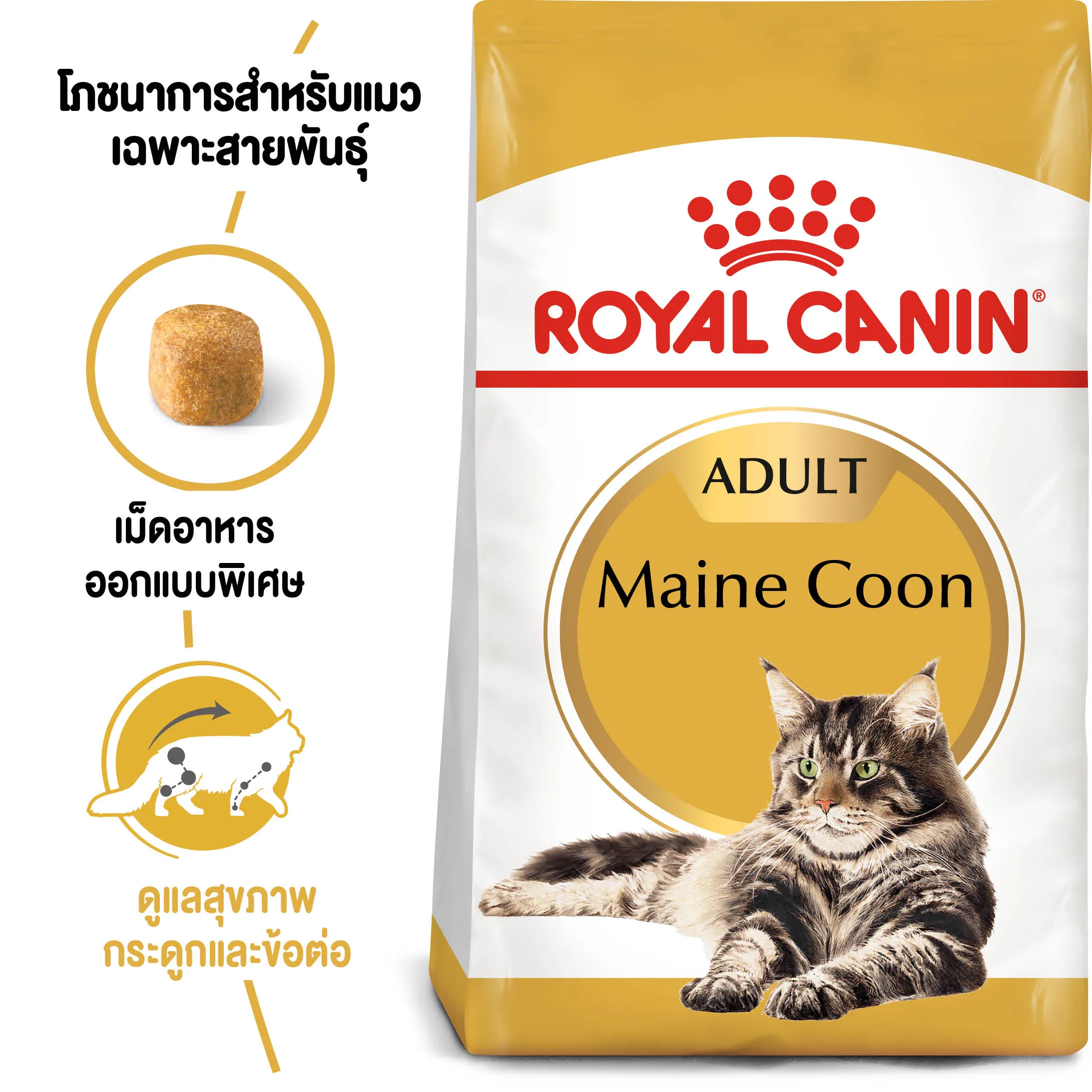 ROYAL CANIN Maine Coon Adult อาหารเม็ดสำหรับแมวโต สายพันธุ์เมนคูน